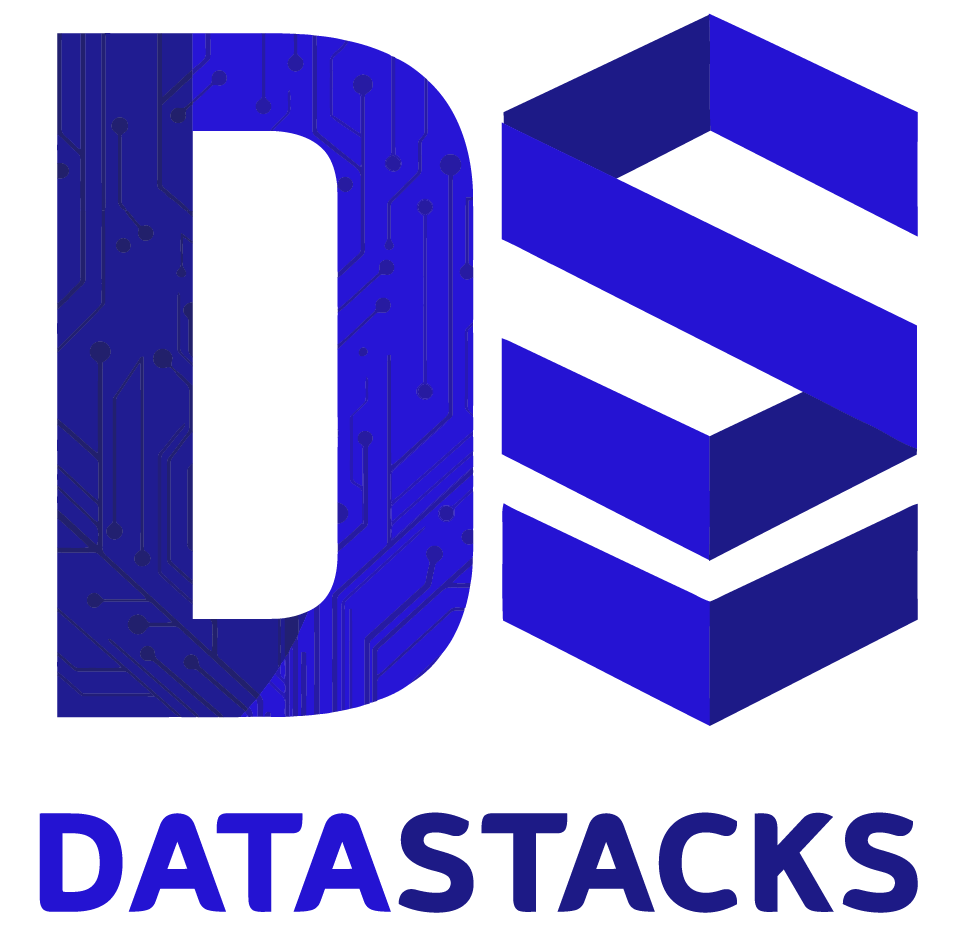 DataStacks Logo Transparent